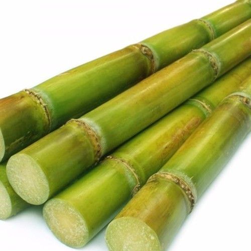 Fresh Organic Sweet Sugarcane