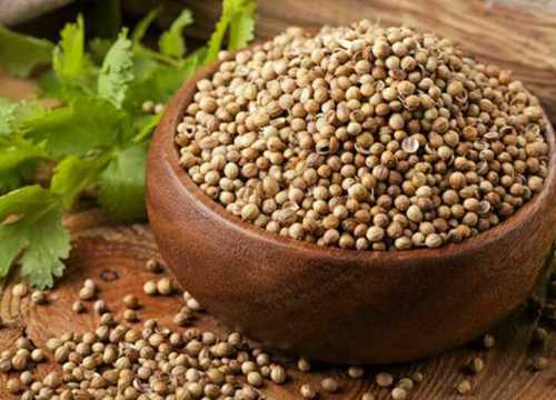 Natural High Nutritional Value Coriander Seeds