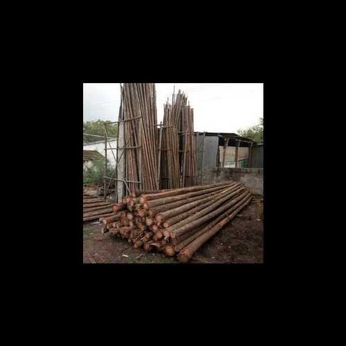 Casuarina Wood Logs