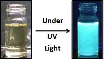 Graphene Quantum Dots Application: Biological