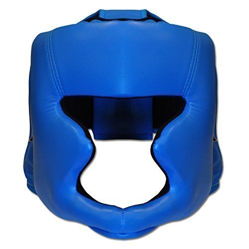 Blue Color Boxing Helmet