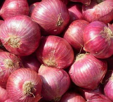 Farm Fresh Red Onion