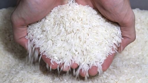 Fresh Organic Raw Rice