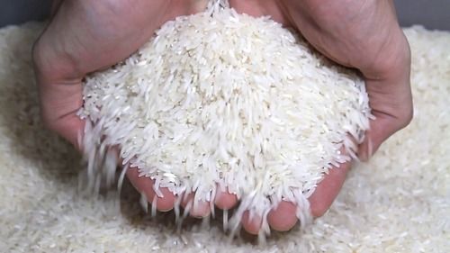 White Fresh Organic Raw Rice