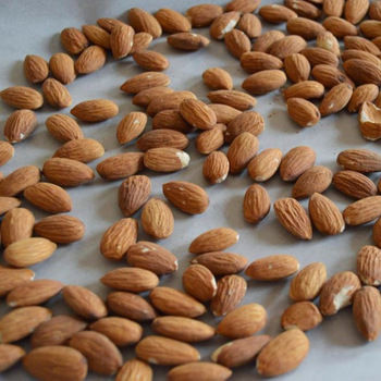 German Origin Sweet Almond Nuts