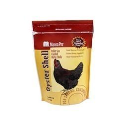 How to Save Money on Chicken Feed