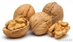 Fresh Organic Walnut Kernel