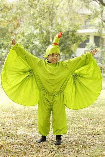 Kids Fancy Parrot Costume