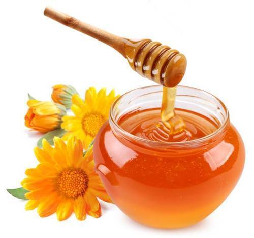 Natural Pure Wild Honey