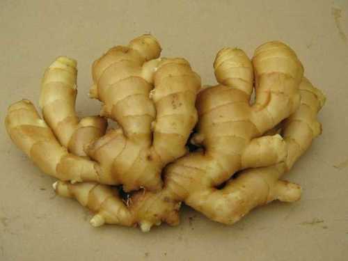 Organic Ginger Bulbs