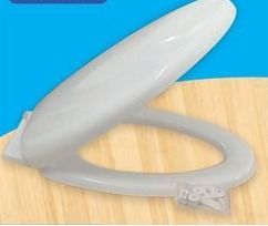 Plastic Toilet Seat