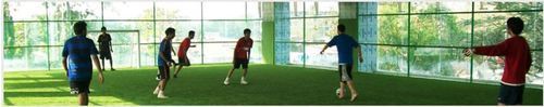 Artificial Grass For Sports