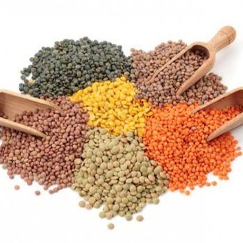 Quality Red, Green, Yellow Lentils