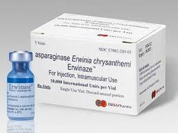 Asparaginase Erwinia Chrysanthemi