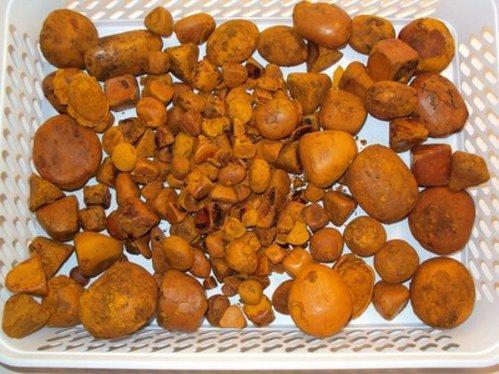 Grade AAA Bezoars, Cow And Ox Gallstones