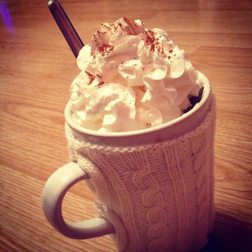 Hot Chocolate Premix