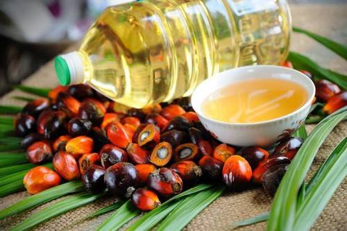 Digital Pure Natural Palm Oil