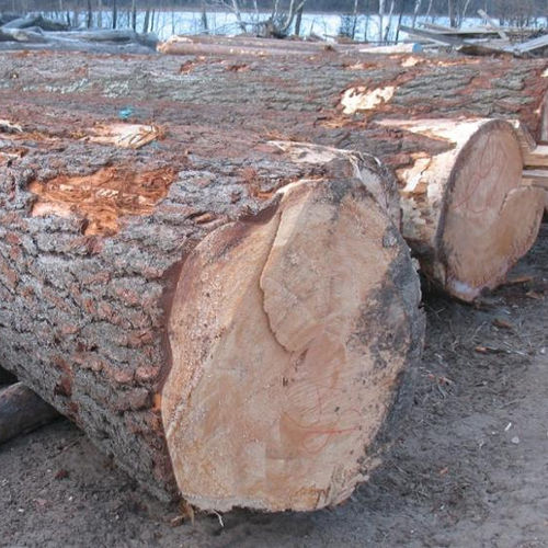 Timber Cedar Timber By Africcropsfarm exports