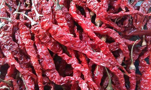 Dried Pure Red Chillies