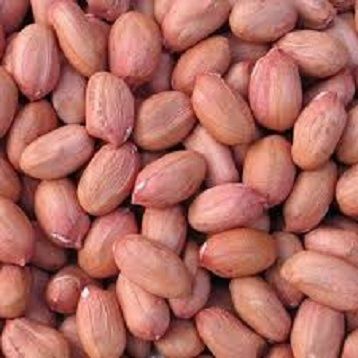 Dried Peanuts Kernel Without Shell