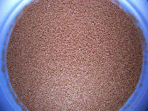 Industrial Yeast Dry Powder