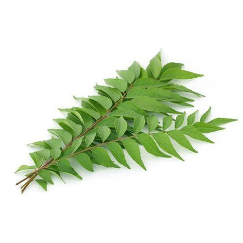 A Grade Curry Leaves