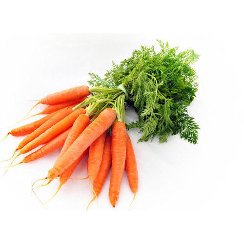 Fresh Carrot Vegetables