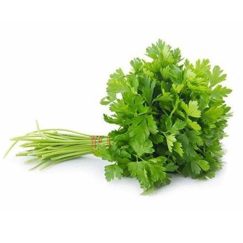 Organic Coriander Leaves