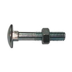 High Quality SS Carriage Bolts