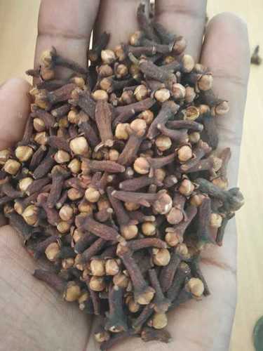 Quality Approved Cloves Seeds