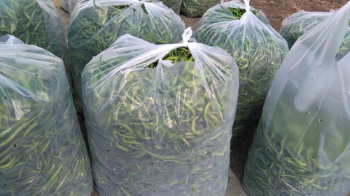 Reusable Food Storage Bags Sandwich Bags, Resealable Food Bunker Snack Bags  30pcs/Pack Reusable Ziploc Bags, Bpa Free, Waterproof, Leak-proof for Food-Vegetable  Storage and Lunch price in UAE | Amazon UAE | kanbkam
