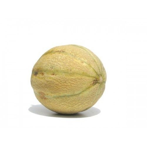 Rings High In Taste Organic Muskmelon