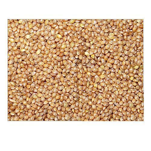 Organic Barnyard Millet - 250gm & 500gm Pack Sizes, Certified Organic Goodness for Healthy Living