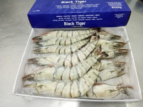 Black Tiger Shrimps