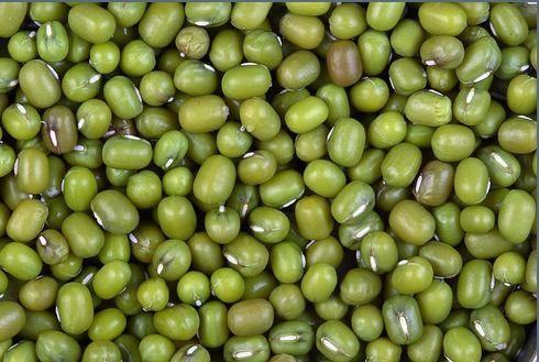 Green Mung Beans - Hygienically Packed, High Nutritional Value & Enhanced Taste