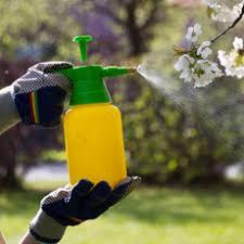 Pesticides Liquid for Plants