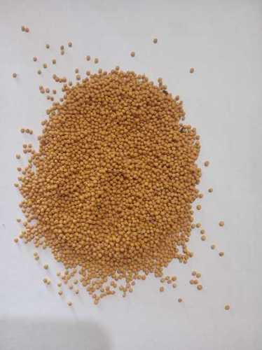 Pure Yellow Mustard Seeds