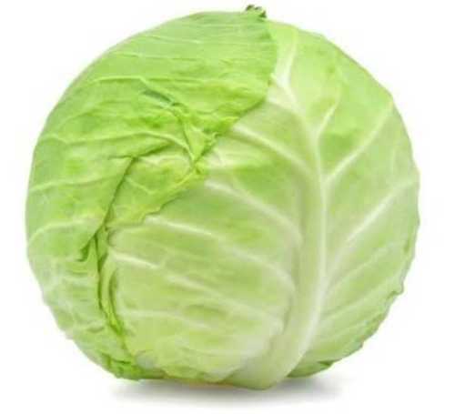 Farm Fresh Green Cabbage