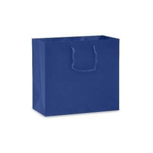 Blue Paper Carry Bag