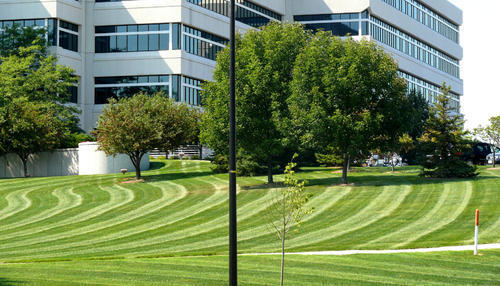 Commercial Landscaping Services