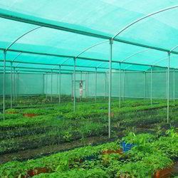 Customized Nursery Shade Net Greenhouse Size: Large