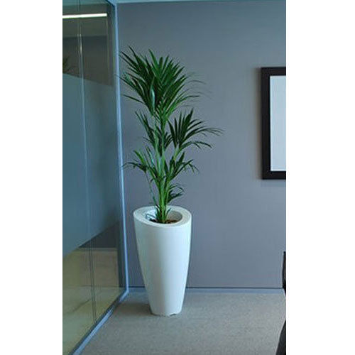 Office Decorative Flower Pot