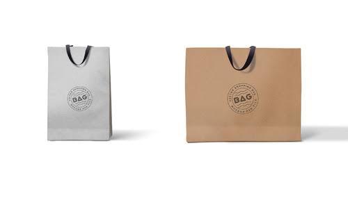 Biodegradable Paper Bags