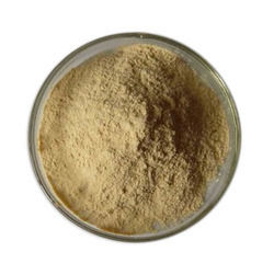 Powder Plant Protease Enzyme