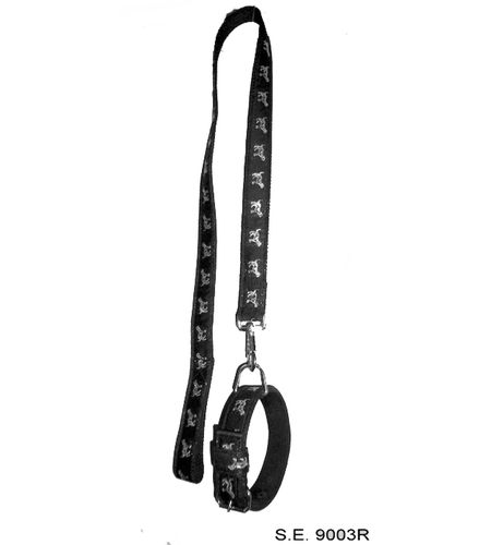 Ribbon Stitched Tape Lead Collar Set Application: Dog