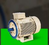 Single Phase Torque Motors