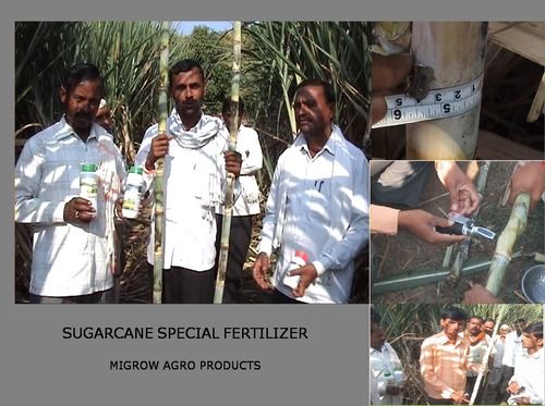 Sugarcane Special Fertilizer
