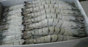 Frozen Black Tiger Shrimp