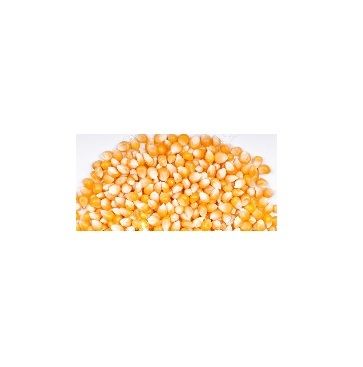 Yellow Corn For Poultry Feed