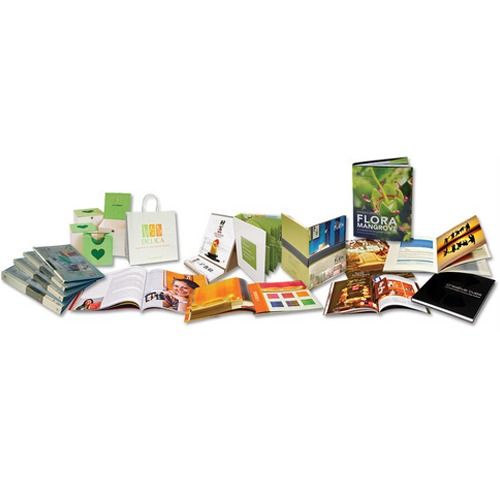 Bag And Brochure Multicolor Printing Service